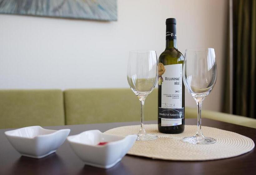 غرفة سوبيريور, Penzion U Vinařství šabata