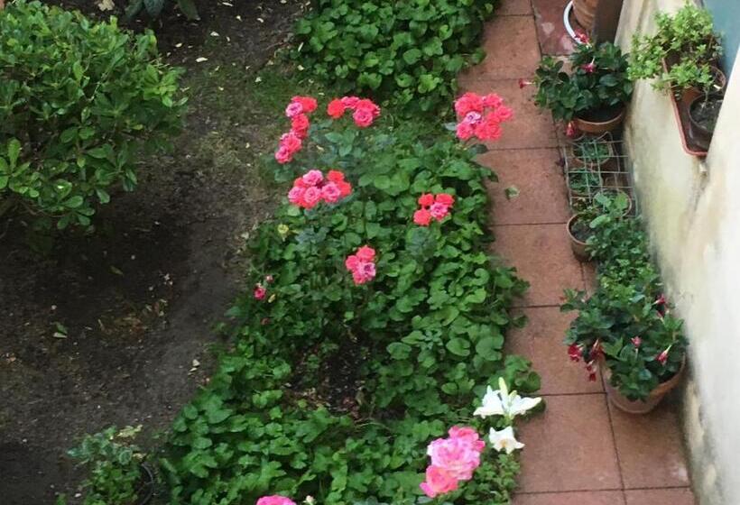 스탠다드 룸, B&b Fleurs