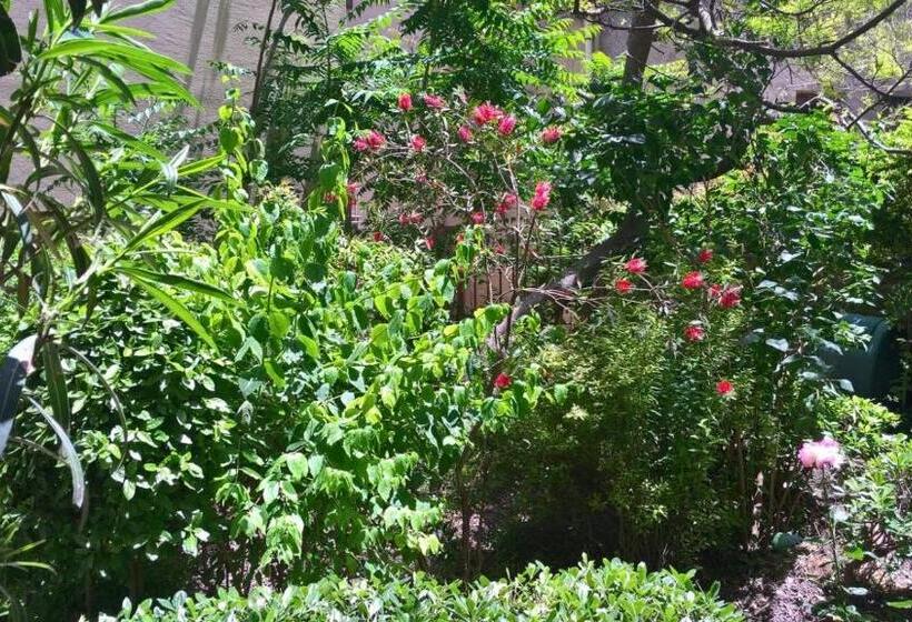 스탠다드 트리플 룸, B&b Fleurs