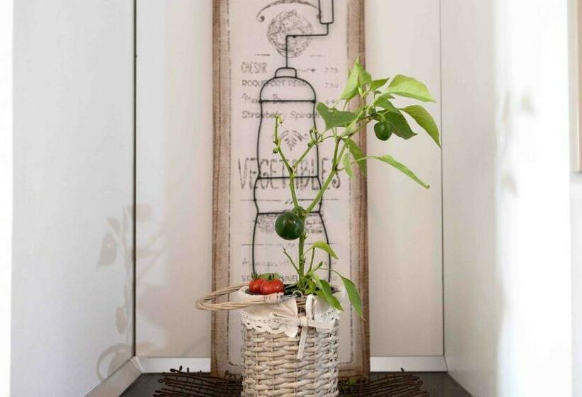 شقة غرفة واحدة, Iori Salento B&b