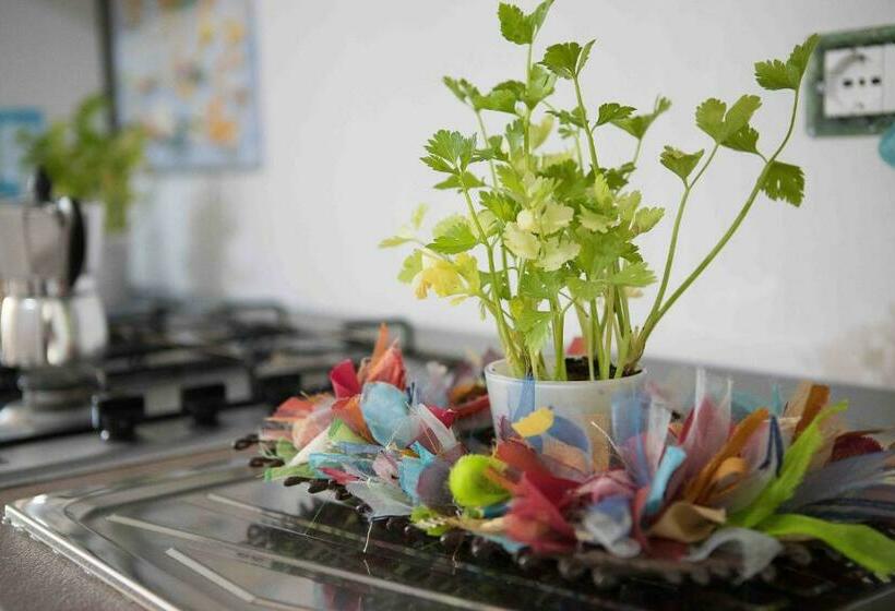 شقة غرفة واحدة, Iori Salento B&b