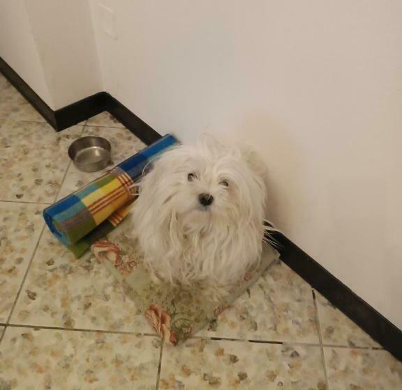 클래식 4인 룸, Guest House Attico Della Vittoria