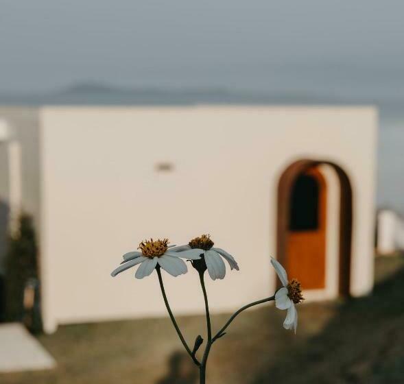 Habitació Estàndard, Moane