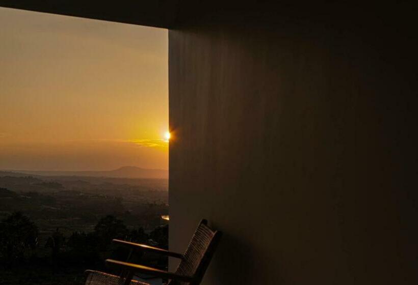 Habitació Estàndard, Moane