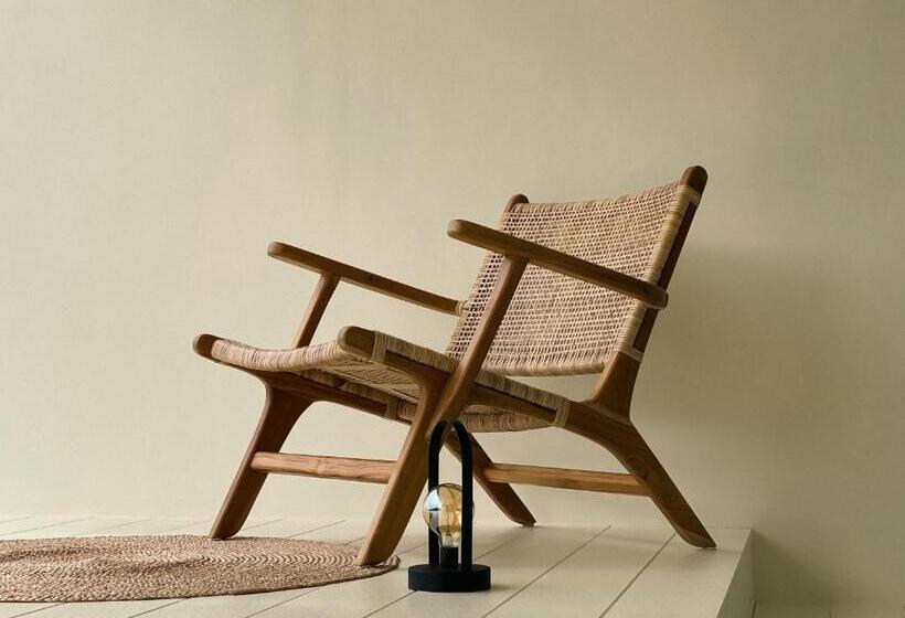 Habitació Estàndard, Moane