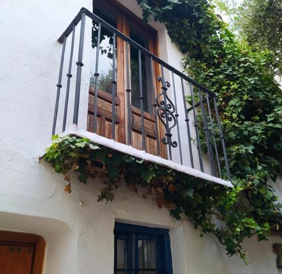 اتاق استاندارد با سرویس بهداشتی مشترک, Amaka House