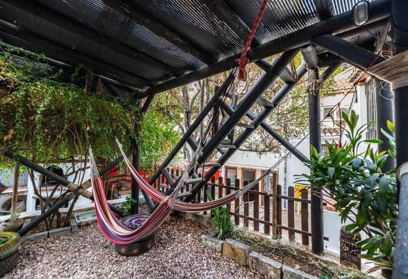 اتاق استاندارد چهار تخته, Amaka House