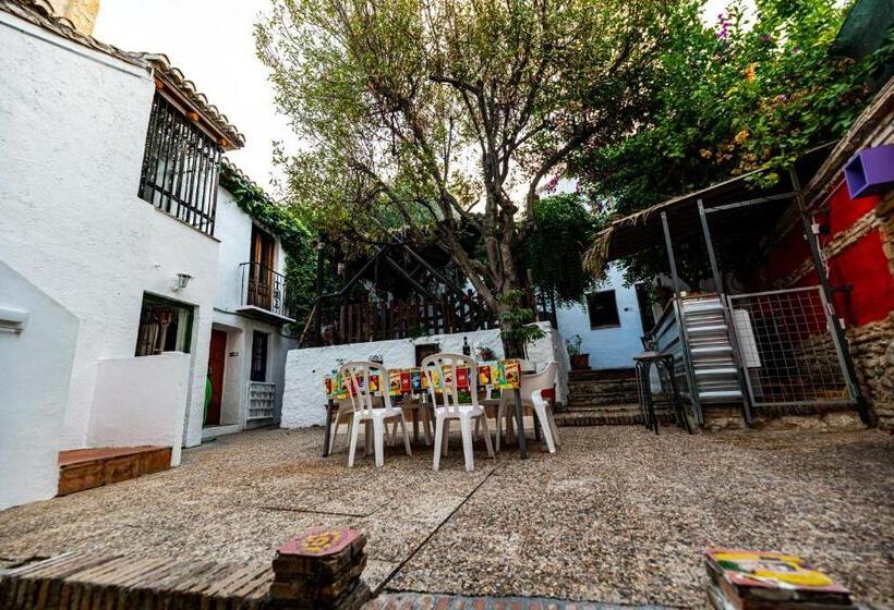 اتاق استاندارد چهار تخته, Amaka House