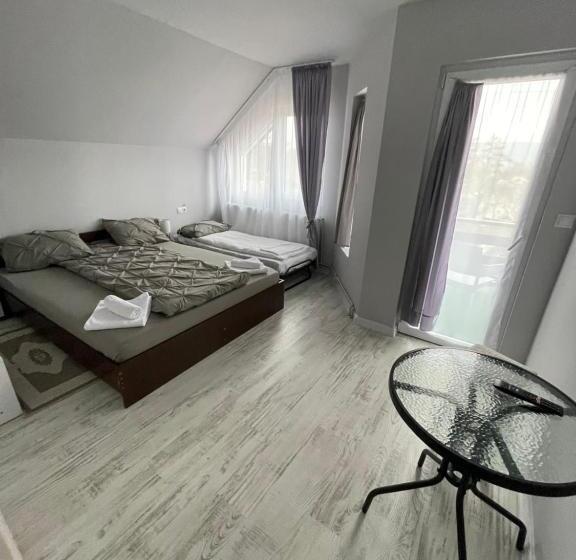 חדר סטנדרט לשלושה עם מרפסת, Pensiunea Dragoș Vodă Breb