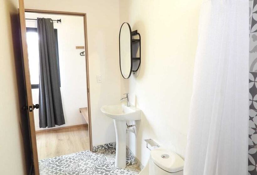 Quarto Deluxe, Singular Antara