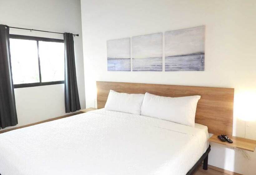 Quarto Deluxe, Singular Antara