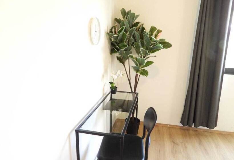 Quarto Deluxe, Singular Antara