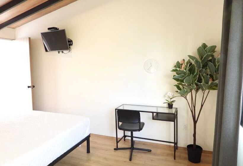 Quarto Deluxe, Singular Antara