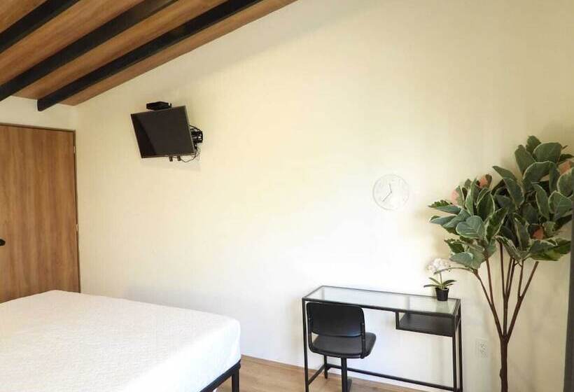 Quarto Deluxe, Singular Antara