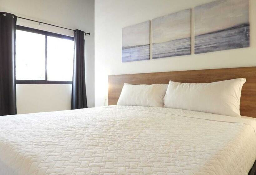 Quarto Deluxe, Singular Antara