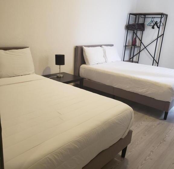 Quarto Deluxe, Singular Antara