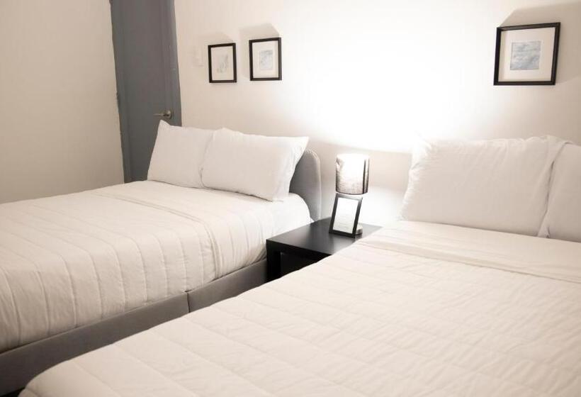 Quarto Deluxe, Singular Antara