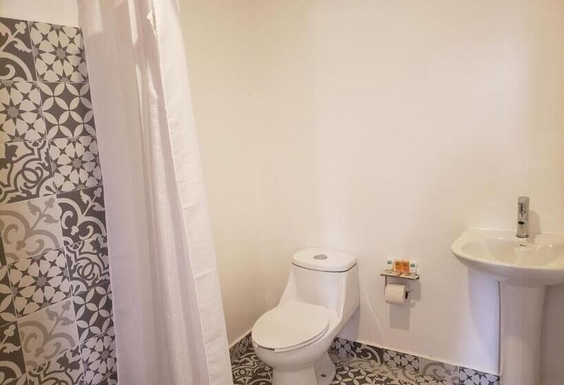 Quarto Estandar, Singular Antara