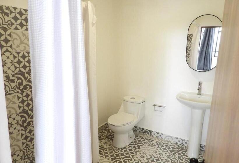 Quarto Estandar, Singular Antara