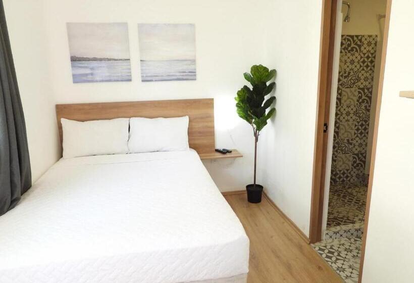 Quarto Estandar, Singular Antara