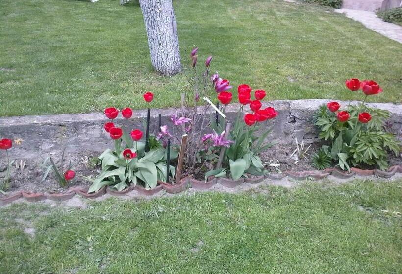 غرفة قياسية مطلّة علي الحديقة, Borimechkova Kashta