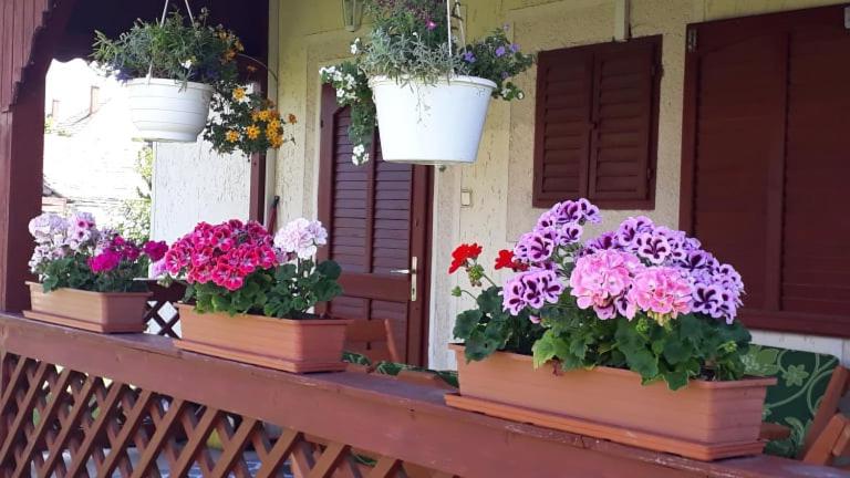 Апартаменты 1 Спальня, Kitti Vendégház