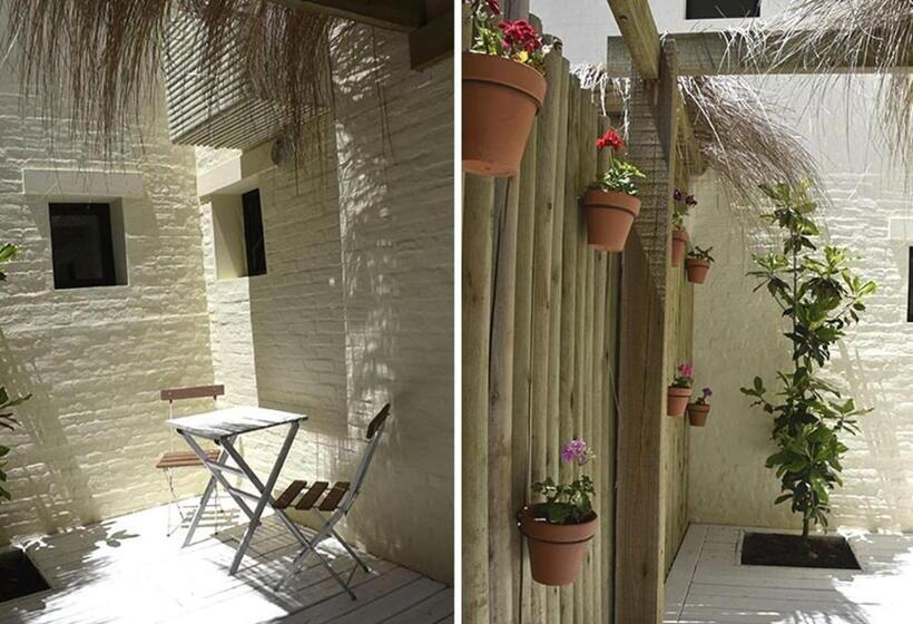 اتاق استاندارد, Posada Tamarindo