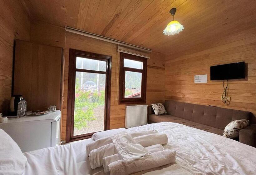 패밀리 룸 산 전망, Cerrahpaşa Sui̇te