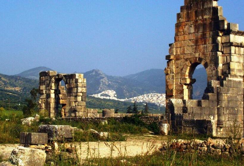 اتاق استاندارد, Al Andaloussiya Diyafa