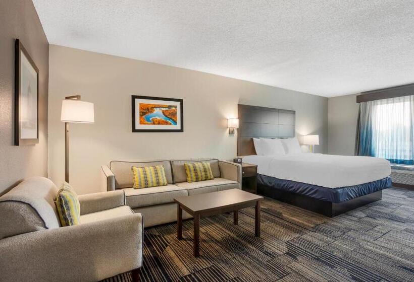 غرفة قياسية سرير كينج لذوى الإحتياجات الخاصة, Best Western Plus Columbia Inn