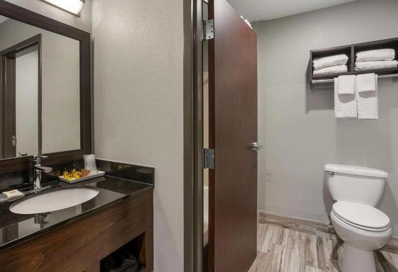 Стандартный Номер Кровать Кинг, Best Western Plus Columbia Inn