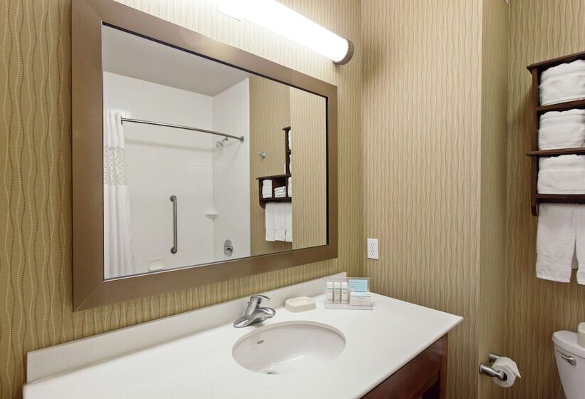 适合残疾人士使用的带双人床的标准间, Hampton Inn Seattle/everett