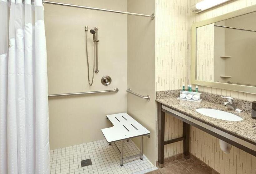 غرفة قياسية سرير كينج لذوى الإحتياجات الخاصة, Holiday Inn Express And Suites Columbia University Area, An Ihg