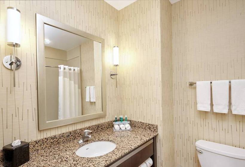 스탠다드 룸, Holiday Inn Express And Suites Columbia University Area, An Ihg