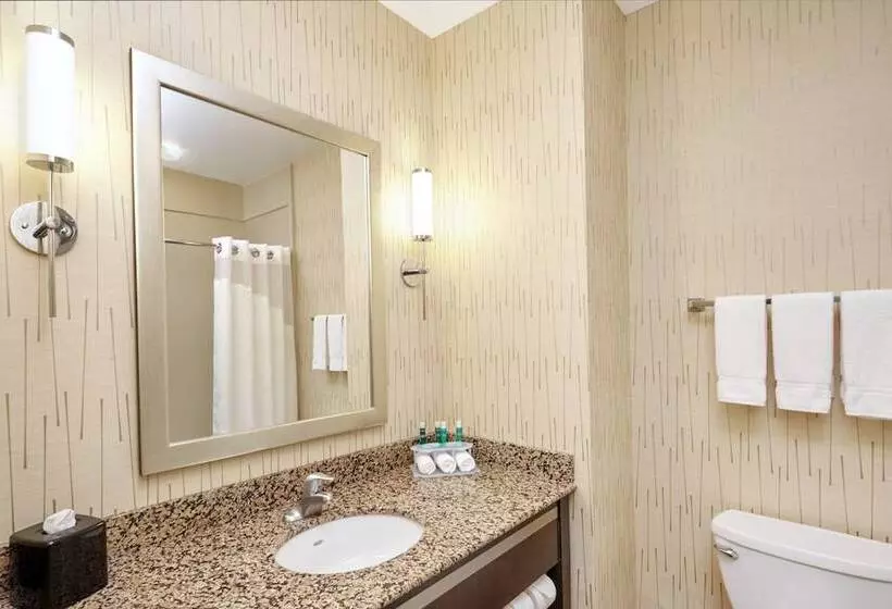 スタンダードルーム, Holiday Inn Express And Suites Columbia University Area, An Ihg