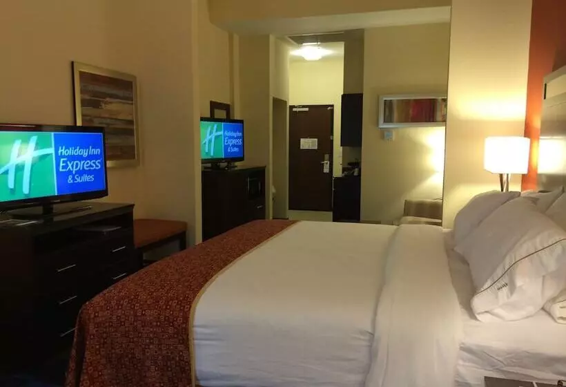 身障者適用スイートルーム, Holiday Inn Express And Suites Columbia University Area, An Ihg