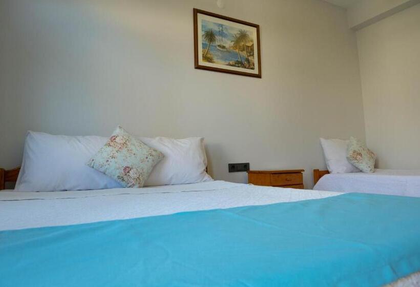 Номер Стандарт Трехместный, Kibele