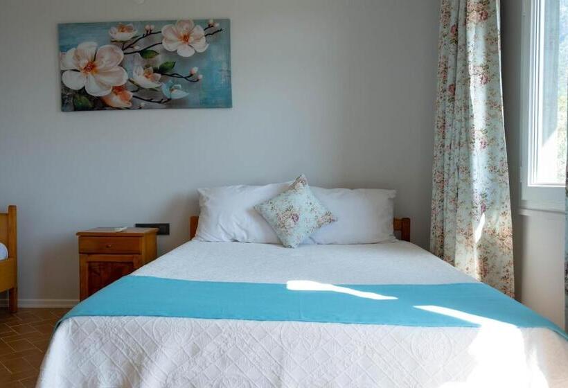 Номер Стандарт, Kibele