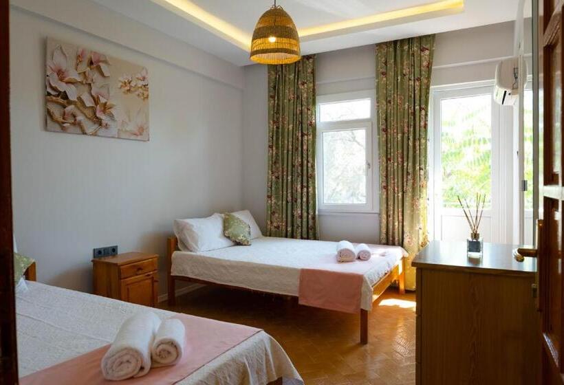 Номер Стандарт, Kibele