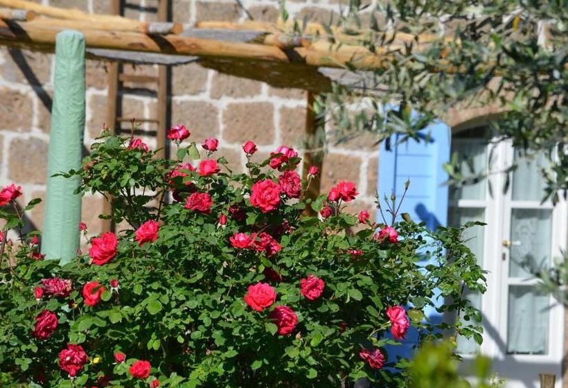 スタンダードルーム, Podere Delle Rose