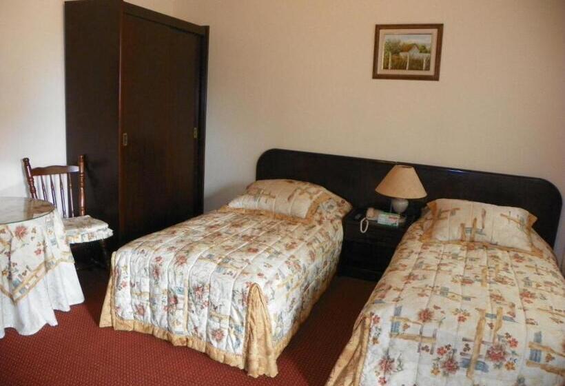 غرفة ديلوكس, Stelter