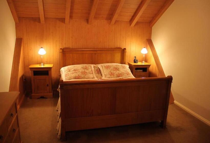 جناح غرفتين نوم, Stelter