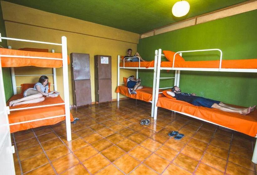 سرير فى غرفة مشتركه, Oasis Hostel