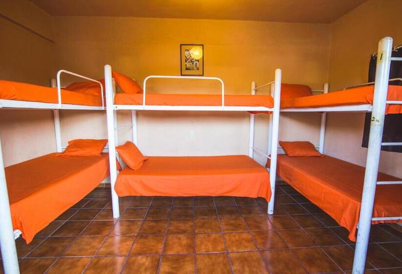 Cama em Quarto Compartilhado, Oasis Hostel