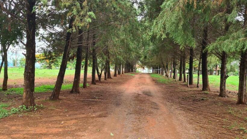 חדר משפחתי, Pousada Serra Da Canastra