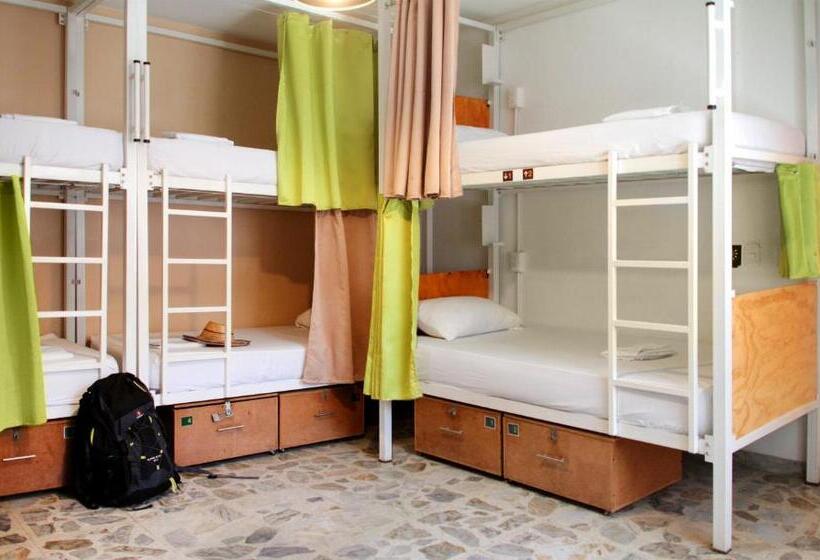 מיטה בחדר משותף, Cacao Hostel Santa Marta