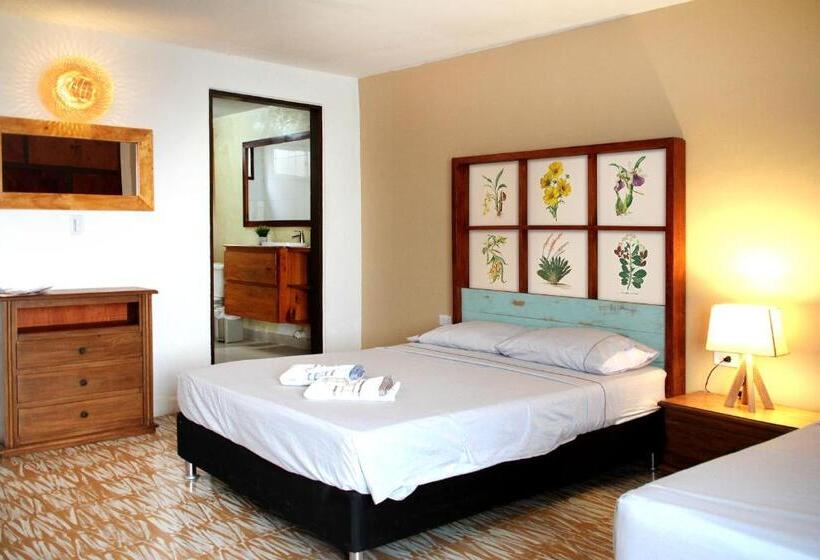 חדר דלוקס, Cacao Hostel Santa Marta