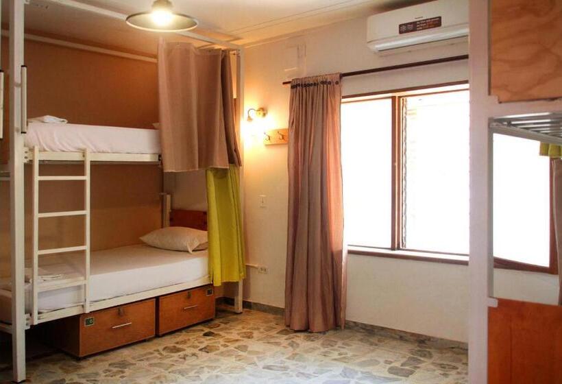 מיטה בחדר משותף, Cacao Hostel Santa Marta
