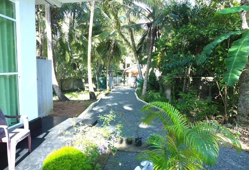 Deluxe Rum, Sandy Palms Guesthouse