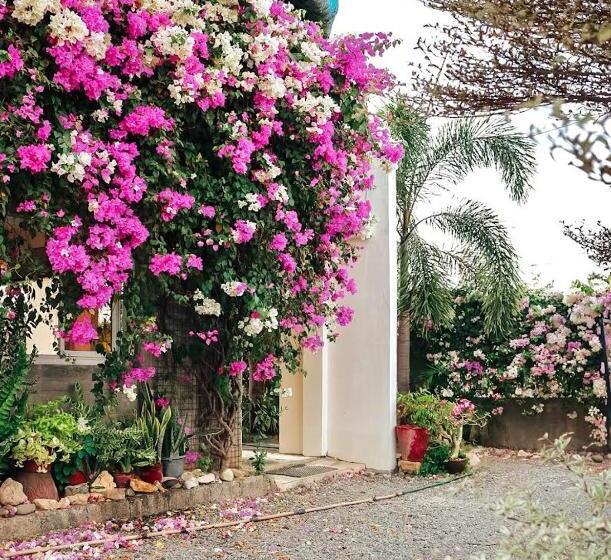 غرفة سوبيريور عائلية, Airport View Hotel Vigan